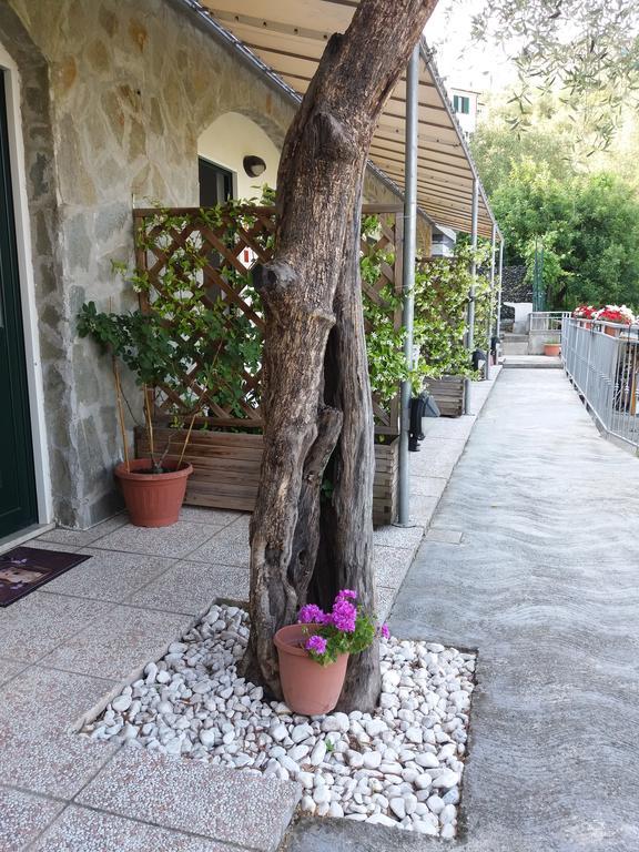 Affittacamere Arabafenice Vezzano Ligure Exterior photo