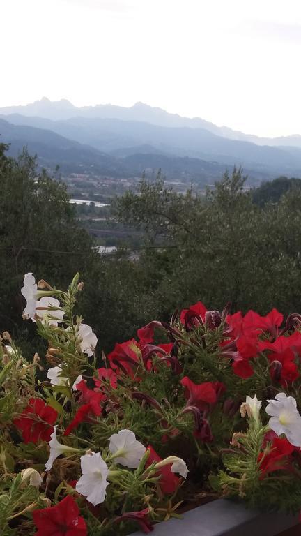 Affittacamere Arabafenice Vezzano Ligure Exterior photo